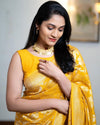 Golden Radiance – A Saree of Timeless Grace