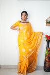 Festive Aura - Rich Banarasi Handloom