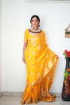 Festive Aura - Rich Banarasi Handloom